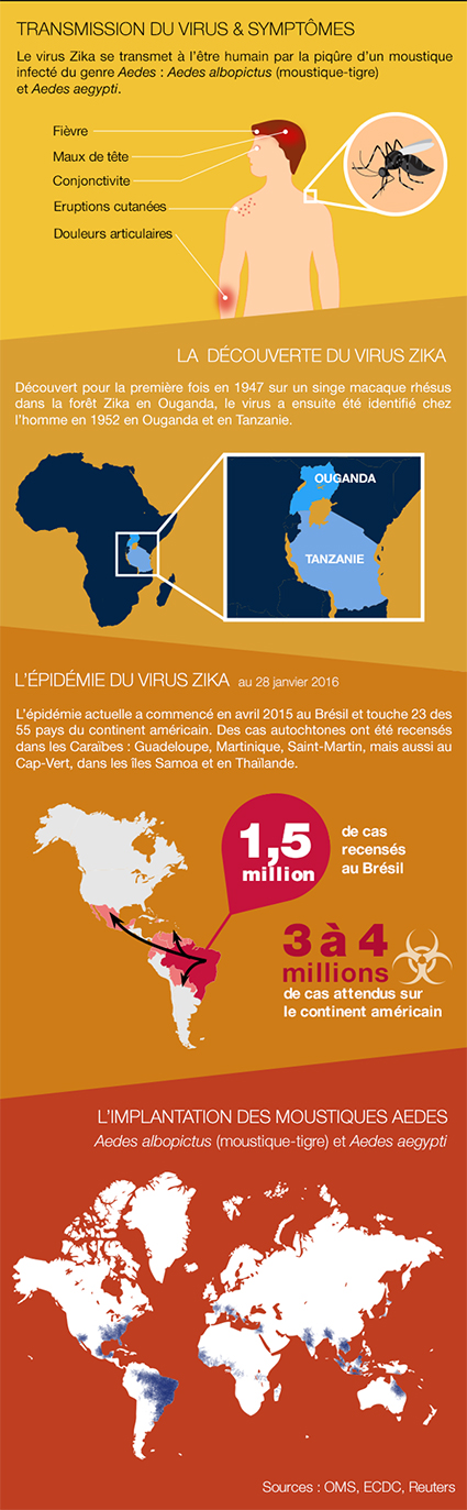 infographie zika v6 0